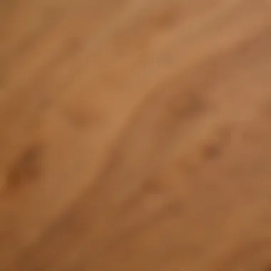 Intricate Grain Patterns of Sierra Hemlock Wood Close-up Detail of Sierra Hemlock Flooring Grain