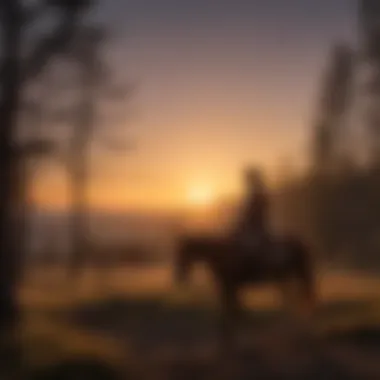 Silhouette of horse and rider against Black Hills sunset