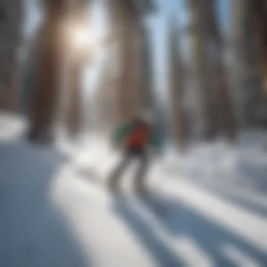 Expert Skier Navigating Challenging Slopes Expert Skier Navigating Challenging Slopes
