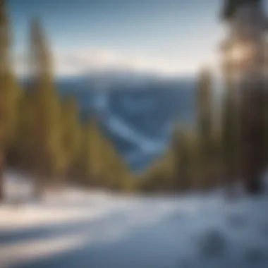 Panoramic View of Flagstaff Ski Resort