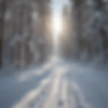 Ski Tracks on Fresh Powder Snow at Brianhead