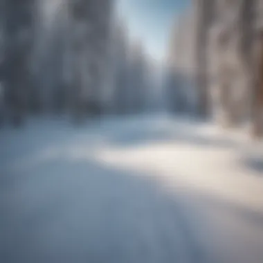 Ski tracks on pristine snow at Lutsen