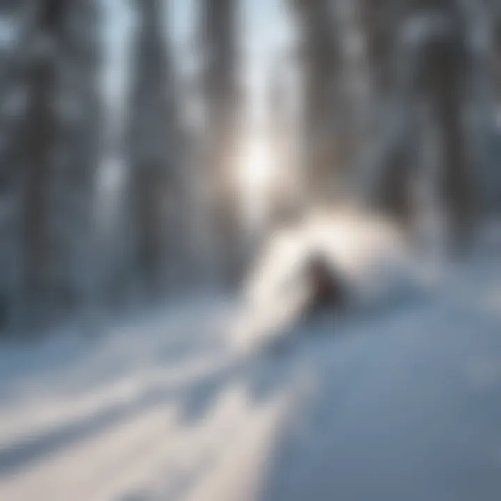Skier enjoying fresh powder at Mt. Bachelor