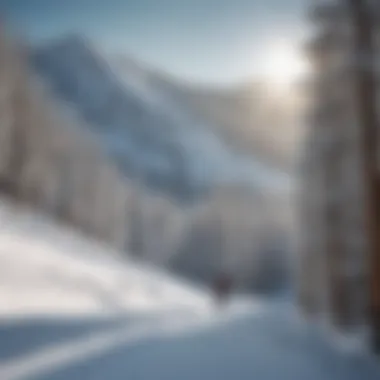 Skiers enjoying the picturesque views at Snow Summit Ski Resort