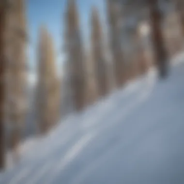 Skiers enjoying the pristine slopes of Lee Canyon Ski Area