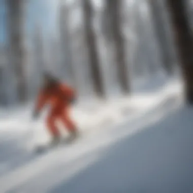 Thrills on the Slopes at Wolf Creek Skiers enjoying the pristine trails at Wolf Creek Ski Resort