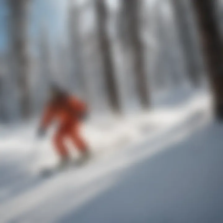 Thrills on the Slopes at Wolf Creek Skiers enjoying the pristine trails at Wolf Creek Ski Resort
