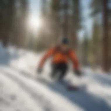 Skier racing down a steep slope with pine trees in the background