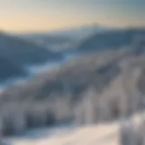Panoramic view of Whitefish Mountain Resort during winter