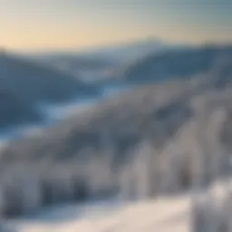 Panoramic view of Whitefish Mountain Resort during winter
