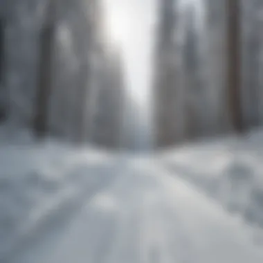 Skiing tracks on untouched snow slopes