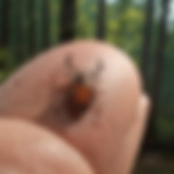 Tick repellent lotion for skin protection