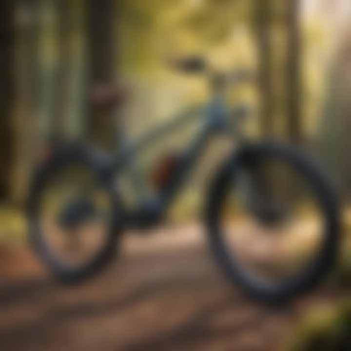 Elegant design of class 2 e-bikes