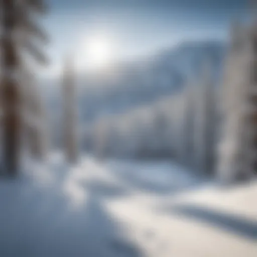 Snow-covered slopes at Snow Summit Ski Resort