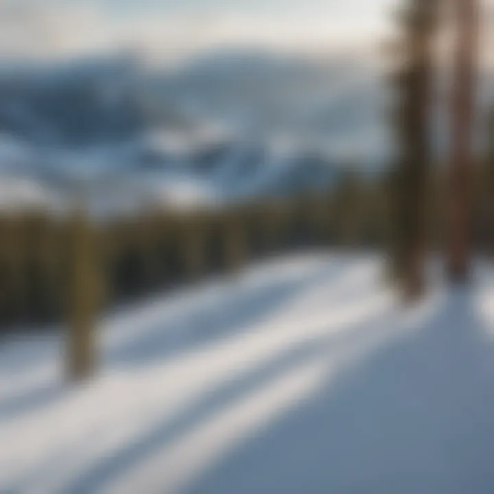 Snowboarder enjoying panoramic view from the summit in Keystone