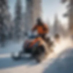Snowmobile Adventure in Island Park