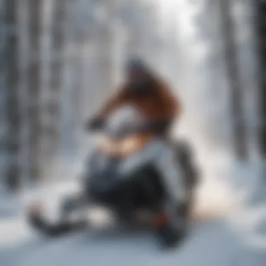 Snowmobile Adventure in White Mountain Wilderness