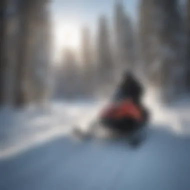 Adrenaline-Fueled Adventure Adrenaline-Fueled Snowmobiling Adventure in West Yellowstone