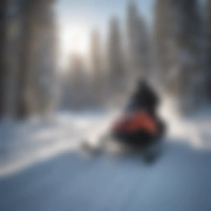 Adrenaline-Fueled Adventure Adrenaline-Fueled Snowmobiling Adventure in West Yellowstone