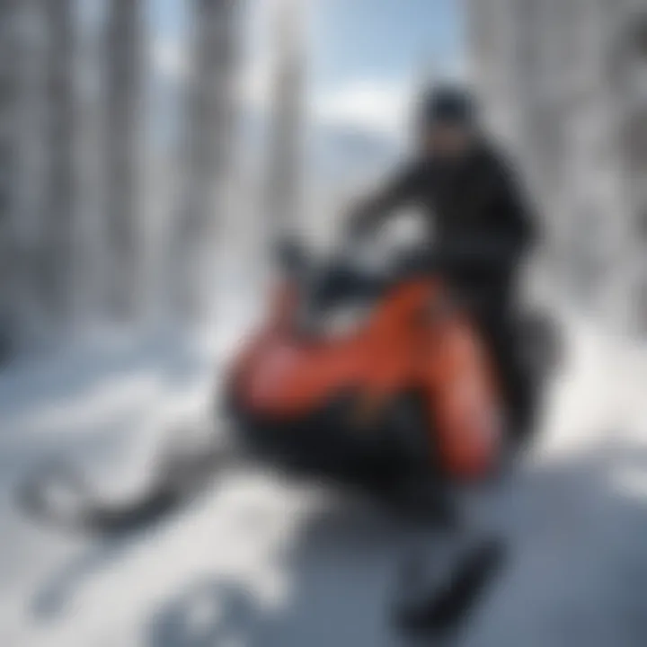 Exciting snowmobiling experience in the heart of Aspen