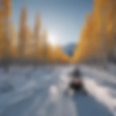 Snowy Landscape Exploration Snowmobile journey through snowy landscapes of Aspen