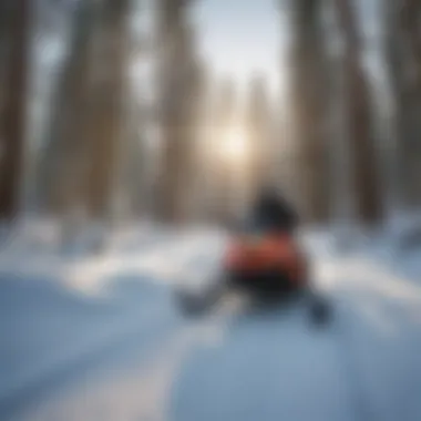 Adventurous Snowmobiling Experience in Lake Tahoe
