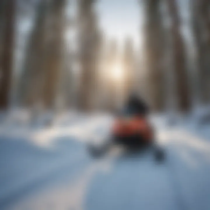 Adventurous Snowmobiling Experience in Lake Tahoe