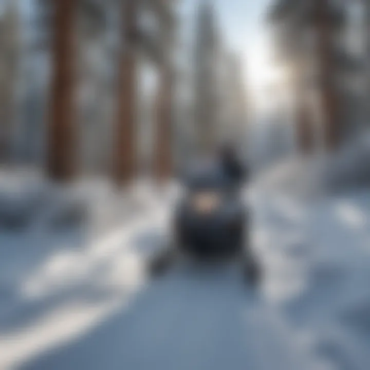 Exploring Snowy Trails on a Snowmobile in Lake Tahoe