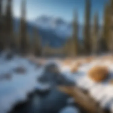 Stunning Rocky Mountain Landscape Majestic view of the Rocky Mountains in winter