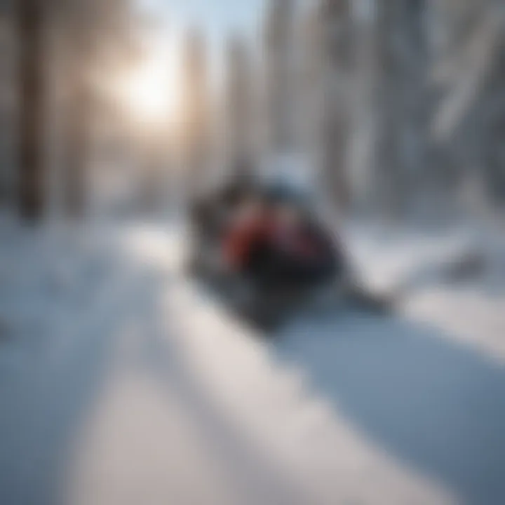 Snowy Landscapes of Island Park