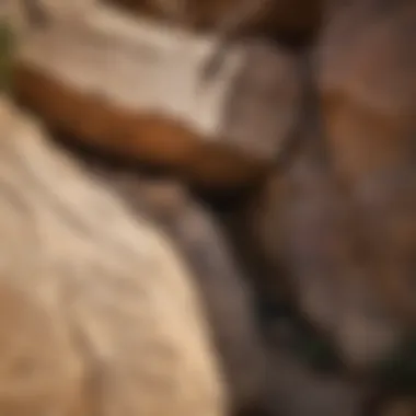 Ancient Messages in Stone Historic Native American petroglyphs on rocky canyon walls