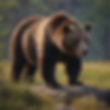 Wildlife Wonders of Bear Butte State Park Wildlife encounter in Bear Butte State Park
