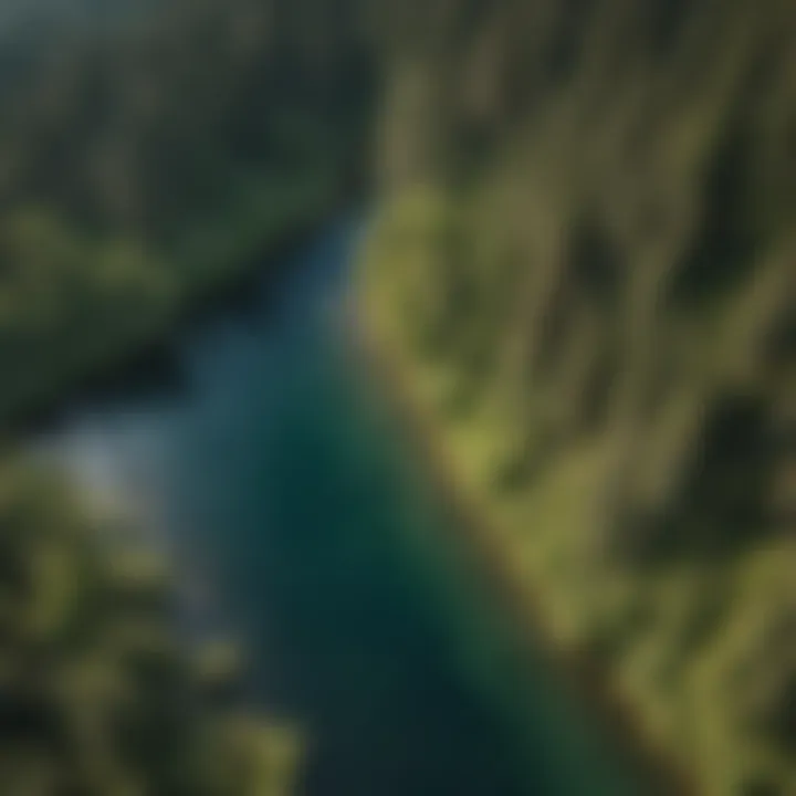 An aerial view of a diverse aquatic ecosystem teeming with life.
