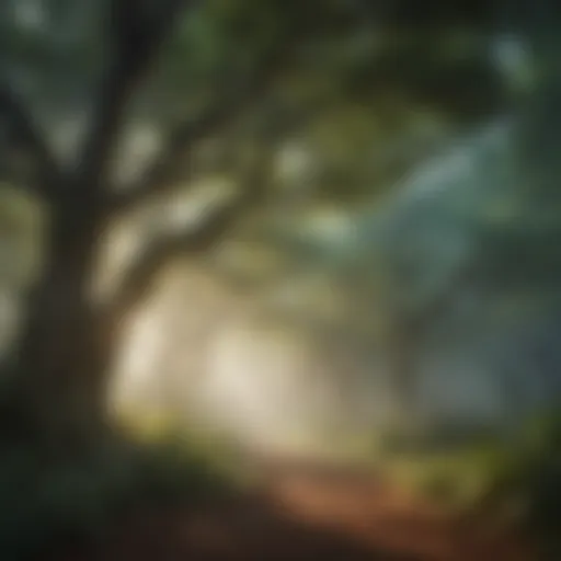 Cosmic Canopy