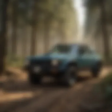 Sustainable Forestry Practices in Action A lush landscape designed for sustainable forestry practices