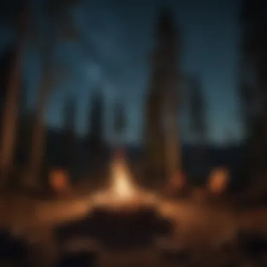 Campfire under a starry night sky at Chelan, WA campground