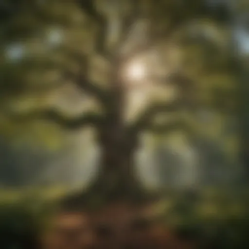 Majestic oak tree in lush forest