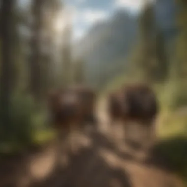Pack mules carrying supplies in a scenic mountain setting