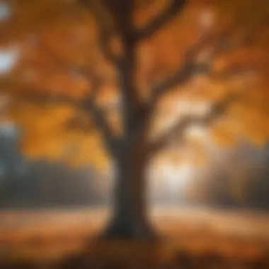 Stunning Maple Tree Changing Colors in Utah Fall