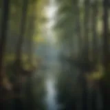 Enigmatic Submerged Forests Submerged Forests of Lake Michigan