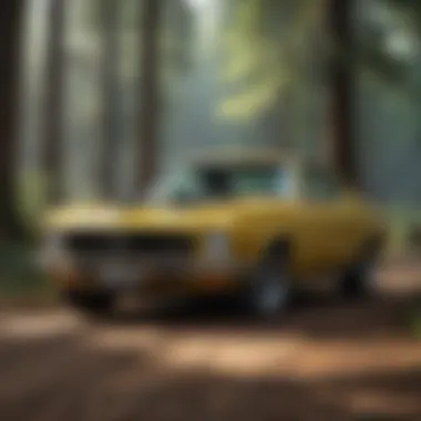 Exploring the Versatility of Succinic Anhydride Versatile properties of succinic anhydride illustration