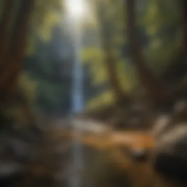 Sunlit Canyon Beauty Sunlit Canyon at Dukes Creek Falls