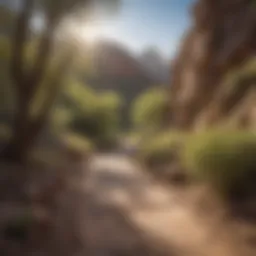 Sunlit Canyon Pathway