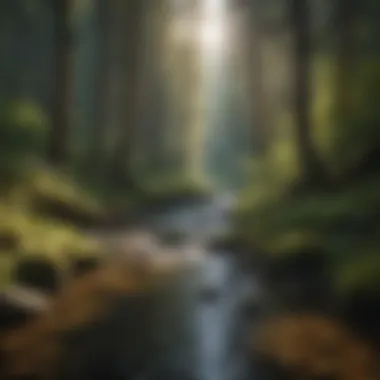 Sunlit Forest Stream in the Pacific Northwest