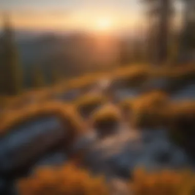 Sunrise Over White Mountain National Forest Peak