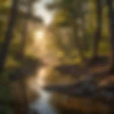 Golden Hour Magic on Oklahoma Fishing Trail Sunset Bliss at Oklahoma Fishing Spot