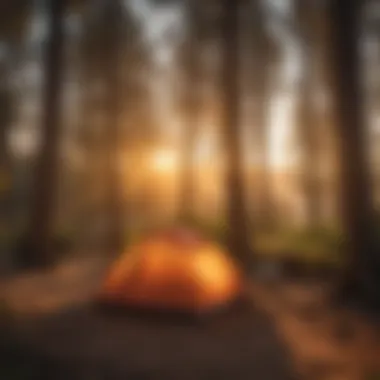 Sunset Camping Bliss Sunset Camping Bliss in Santa Barbara