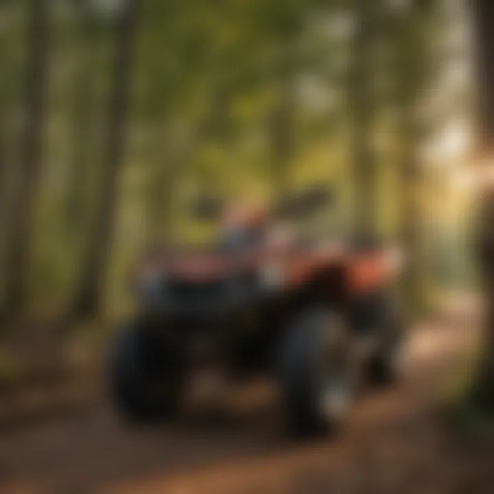 Sunset Glow on Arkansas Four Wheeler Path