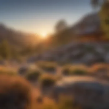 Golden Hour Serenity Sunset casting a golden glow over Kings Canyon National Park Visitor Center