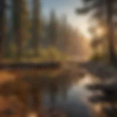 Sunset Glow Over Tuolumne Campgrounds